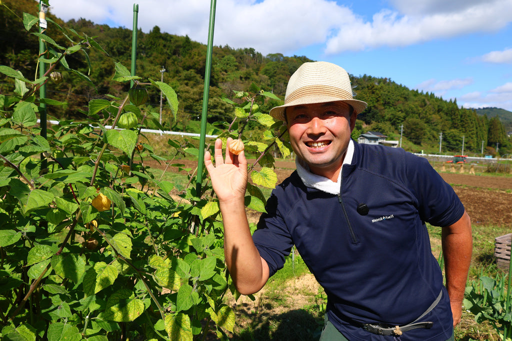 「自然菜園ごよみ2025　11月の野良仕事」第22回