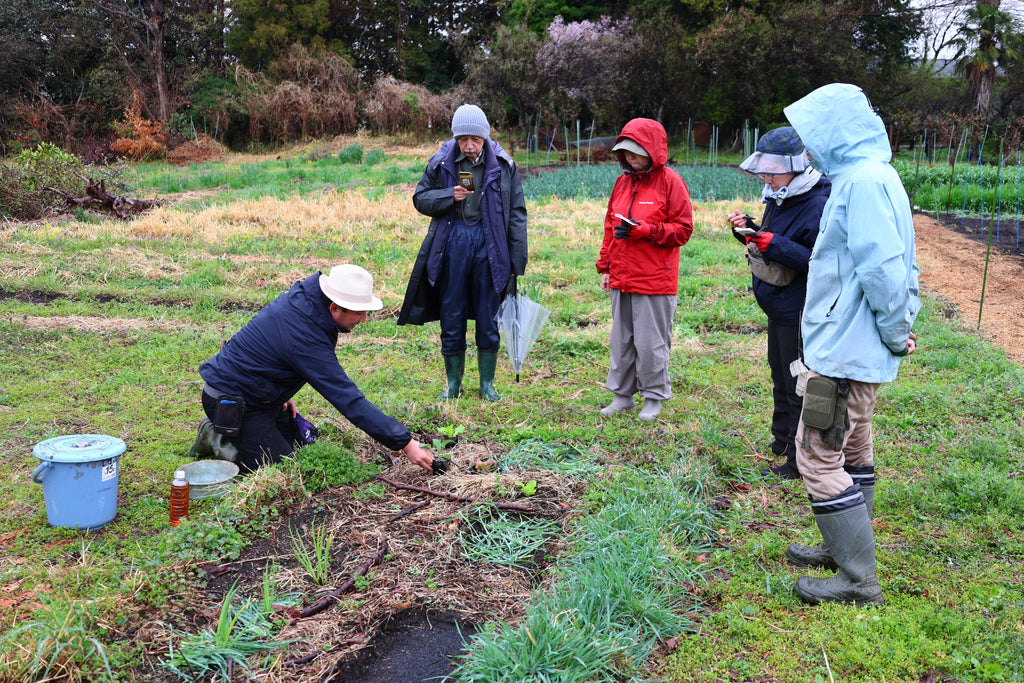 自然菜園ごよみ2025　6月の野良仕事　第17回